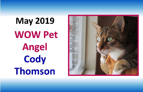 Facebook WOW Pet Angel Cody Thomson